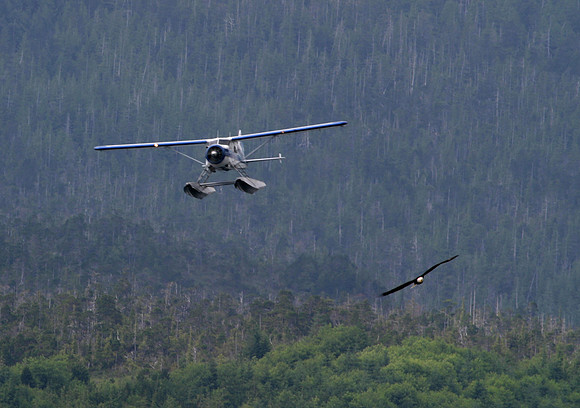 ct (443)