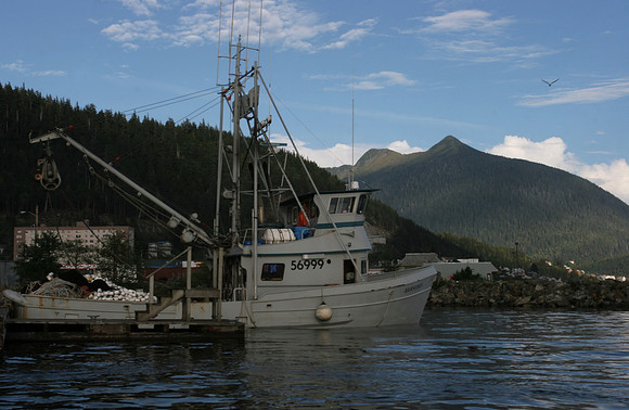082405 305Lccl