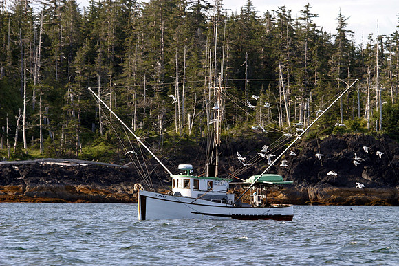 ct (522)